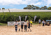 cherry picking school holidays