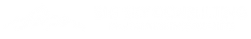 Big Sky Logo 1.png