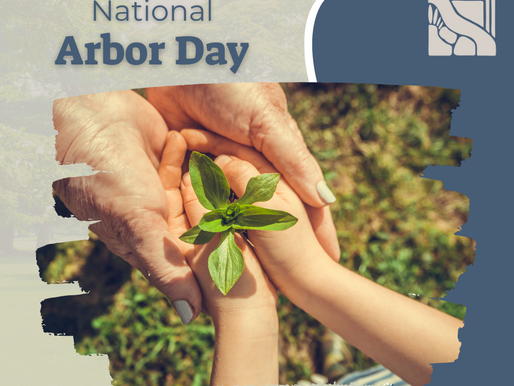 Celebrating Arbor Day: Growing Together as a School Community
