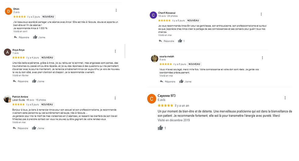 avis google anca biri