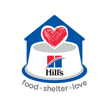 master-hills-fsl-logo-2019-eng (1)_edite