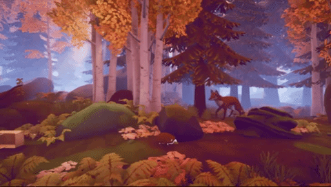FirstFoxGIF.gif