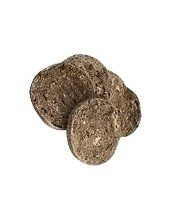 OIP (13)_edited.png