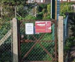 St Andrews Road Allotments