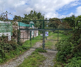 Hill Barn Lane Allotments