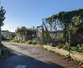 West Tarring Allotments