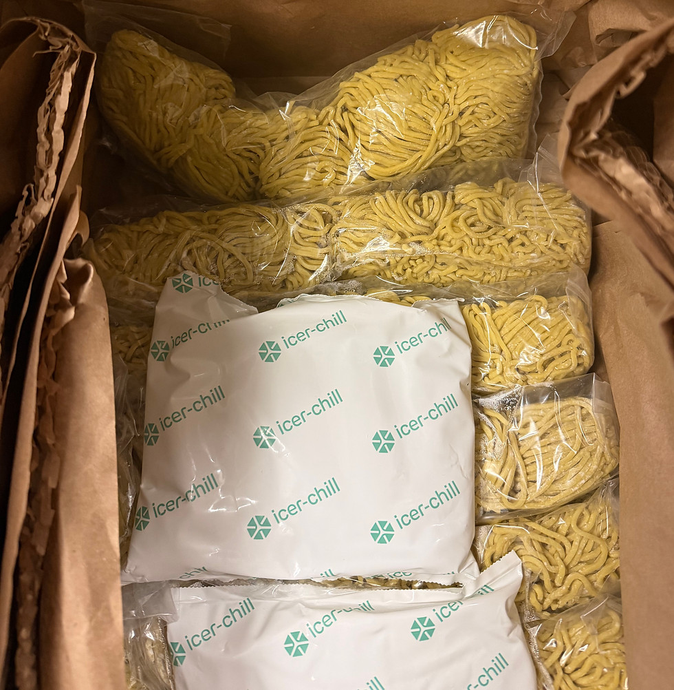 Fresh japanese-style noodles