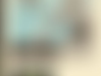 Don't worry about Mosquitoes! Call us today @ 949-338-9691