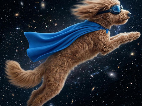 Your Dog's Superpower