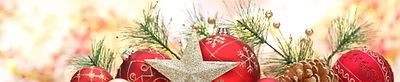 xmas image 10.jpg