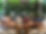 Maricor and Emily went to the Philippines for field work!
