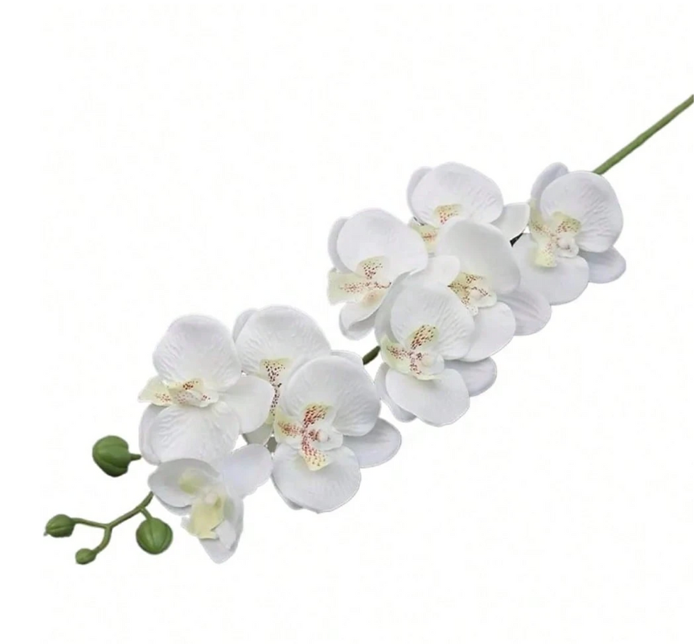 Thumbnail: Artificial Orchid