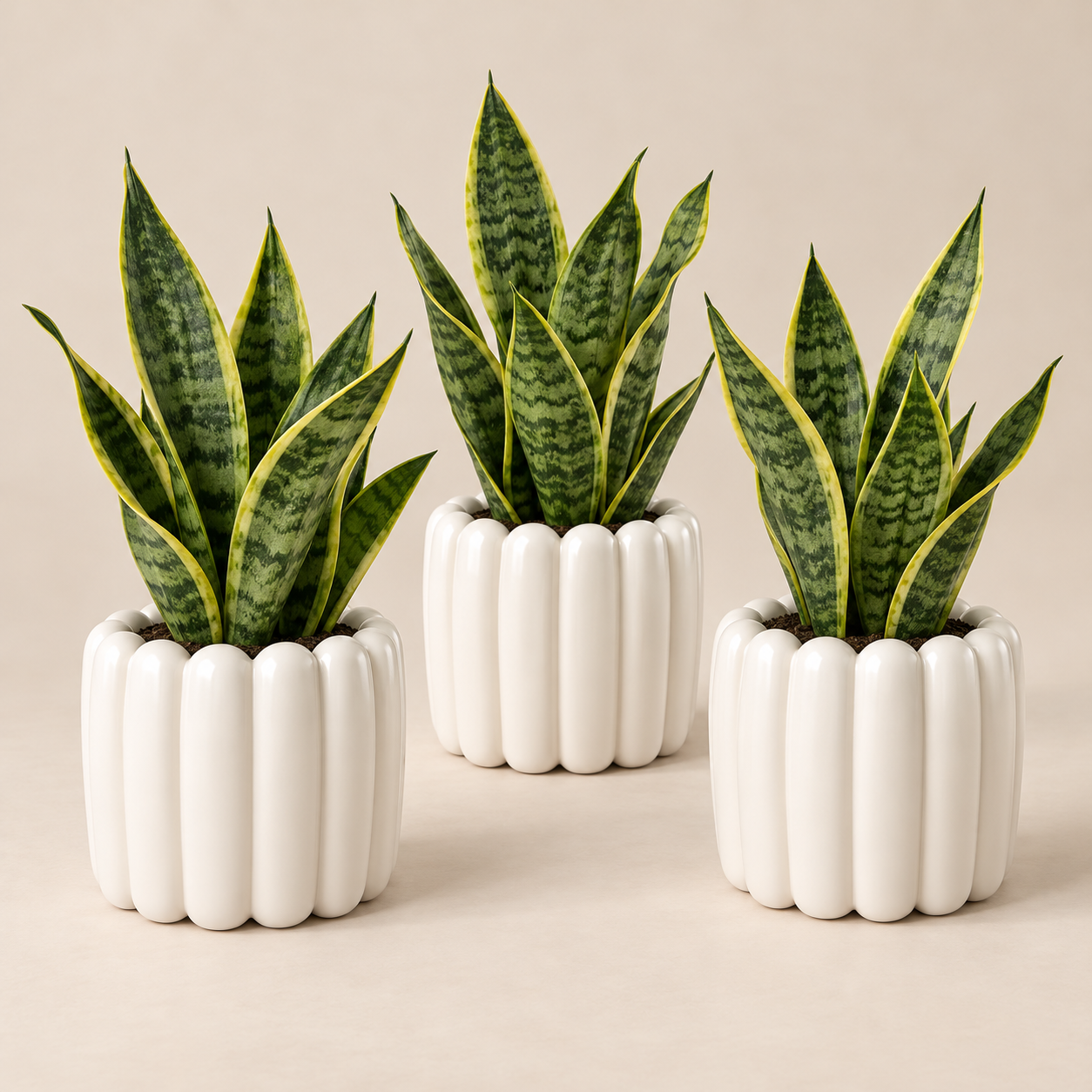 Ribbed Pot & Planter