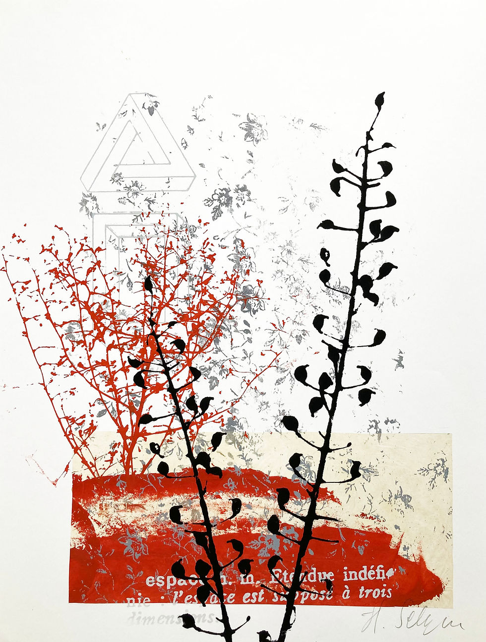 Miniature : ESTAMPE "PLANTE ROUGE"  45x65cm