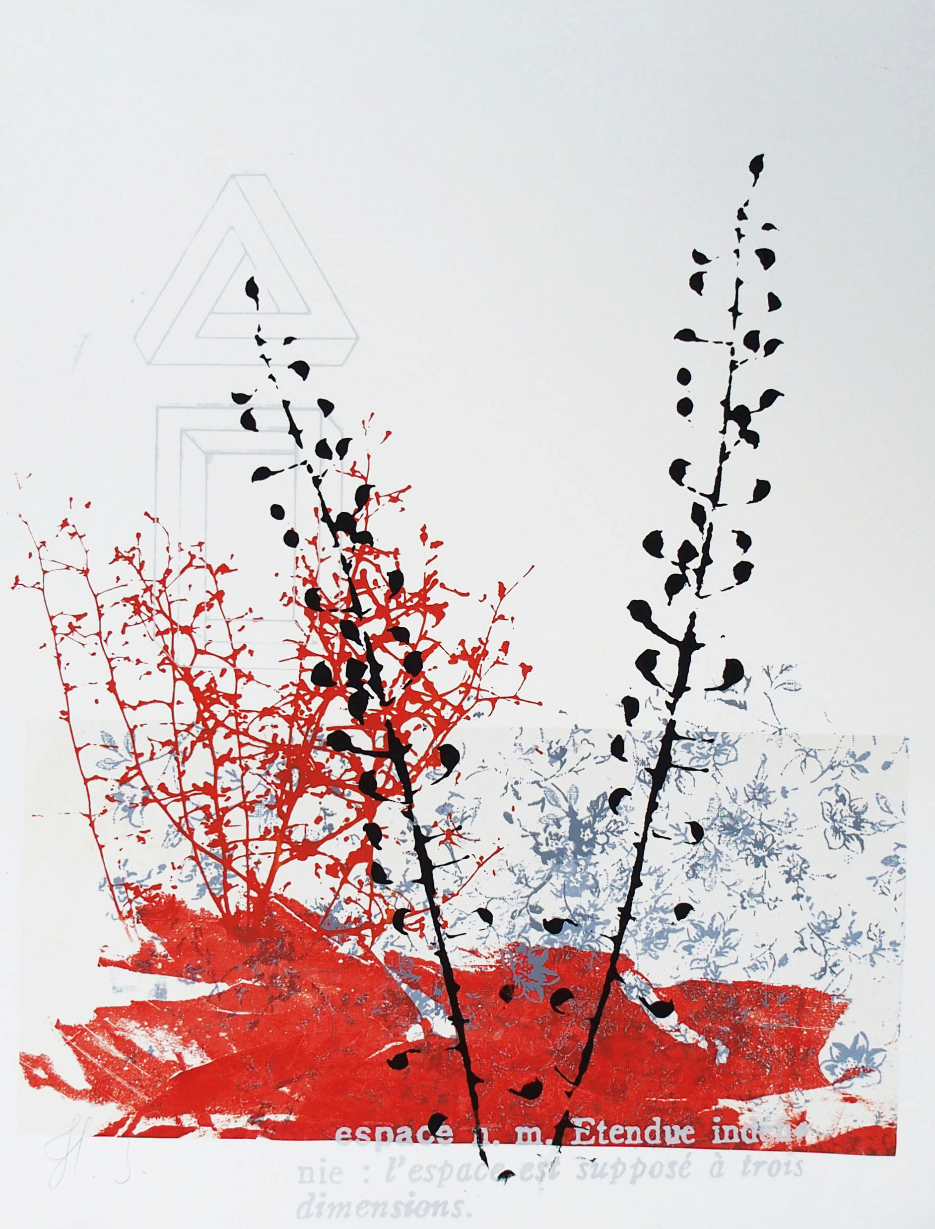 ESTAMPE "PLANTE ROUGE" 45x65cm