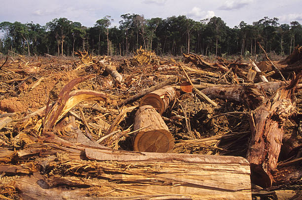 Photo credits – luoman