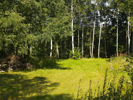 bliss on the path