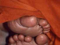 Digital Footprint at Single Click