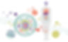 An image of the 3x4 Genetic Laboratory's cover page of test results