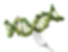 DNA strand on fork_edited.jpg