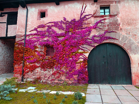 Splendid accommodation