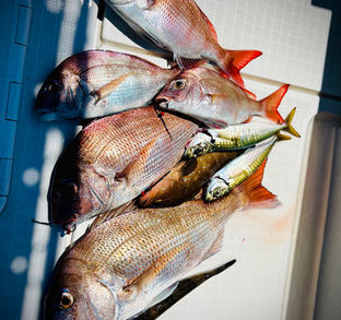 下津井船釣り教室🎣