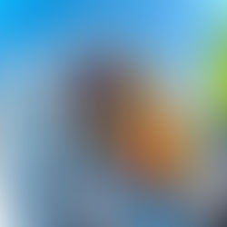 下津井船釣り教室🎣