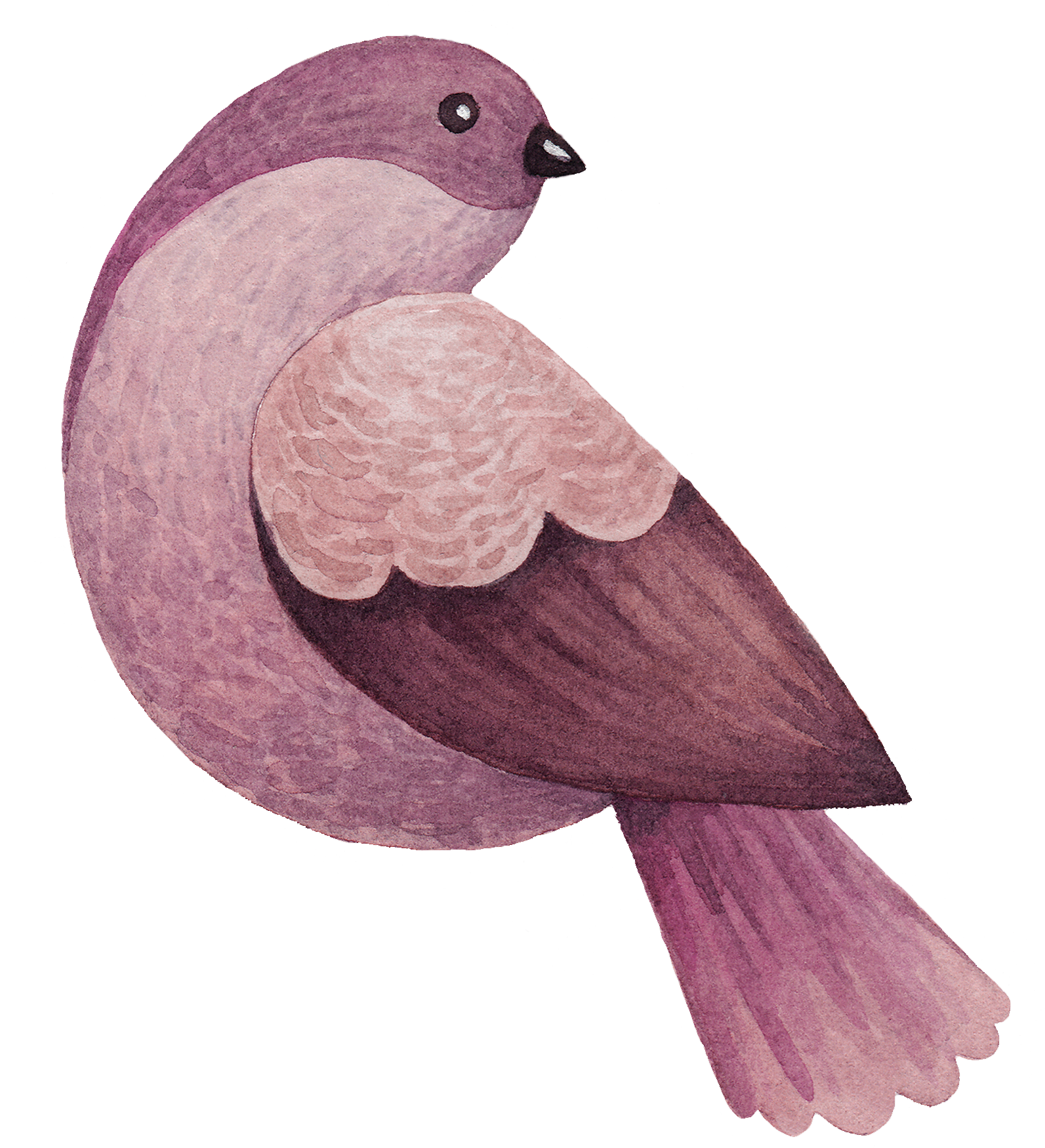 Vogel