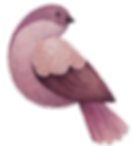 oiseau