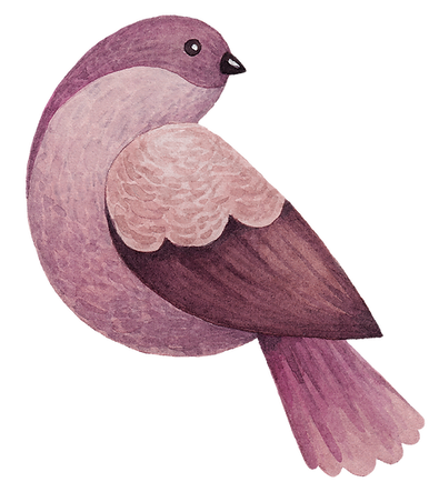 pájaro