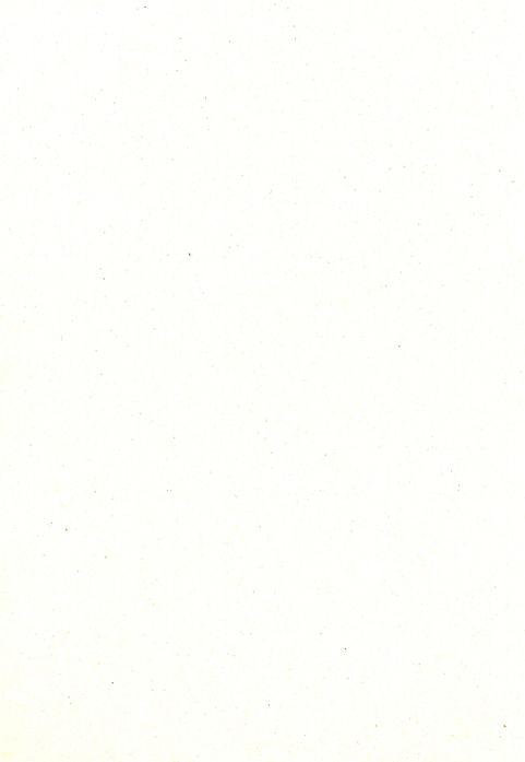 white wall paint with black line_edited_edited.jpg