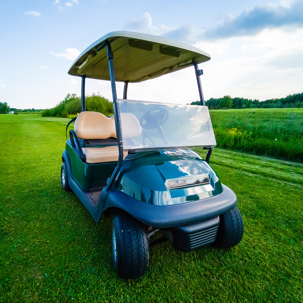 Golf Cart Sponsorship Investment