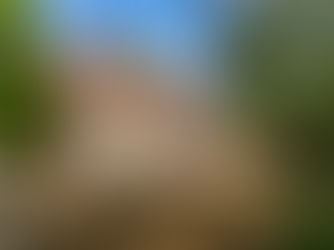 Exterior view of a traditional stone cottage with red tiled roof, white-framed windows, and a modern glass extension, surrounded by trees.