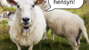 Viktig informasjon om Vaglebanen