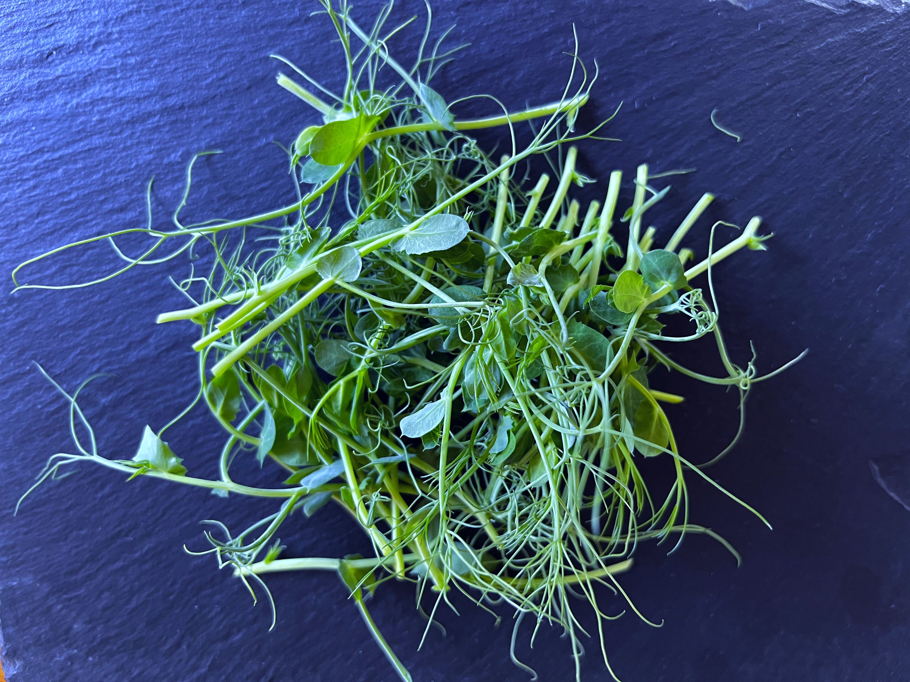 Tendril Pea Shoots