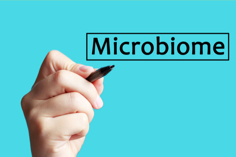 Educator writing the word microbiome to explain its importance for health, digestion, and wellbeing