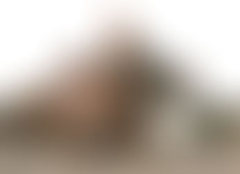 November Meeting - 6th November 2018 8.30pm