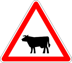 A15a1.gif