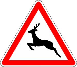 A15b.gif