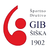 Logo-GIB-300x300_edited.png
