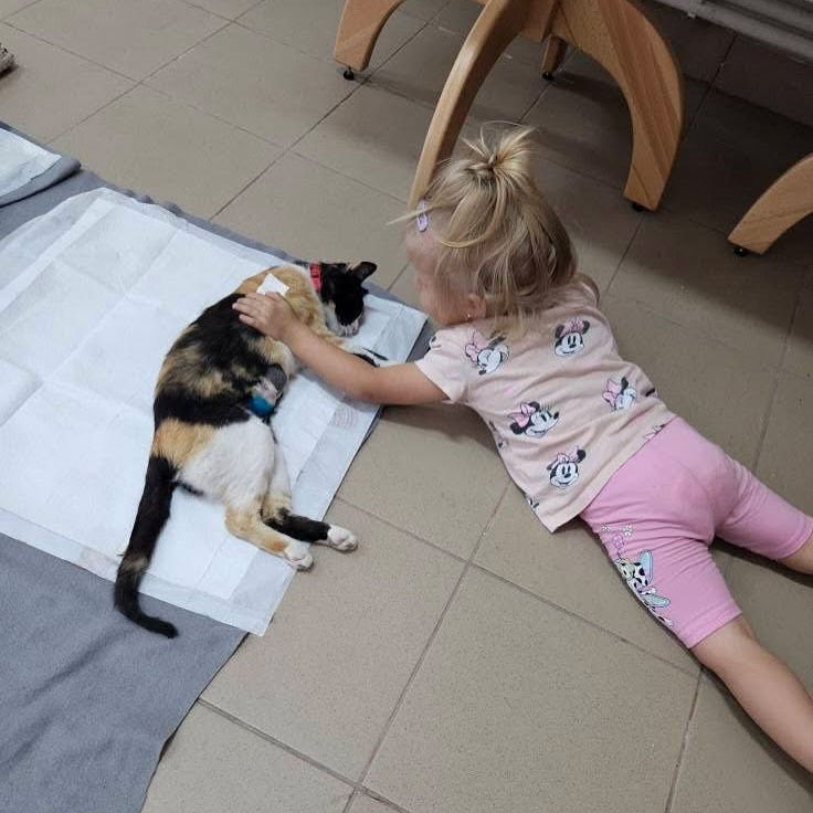 530953632_18292022422271435_4995687549490790625_n