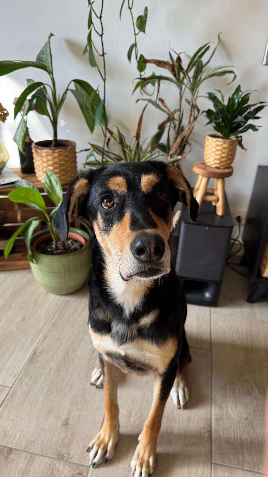 38875eb5-61fd-4caf-b223-2f8f53ffcad7