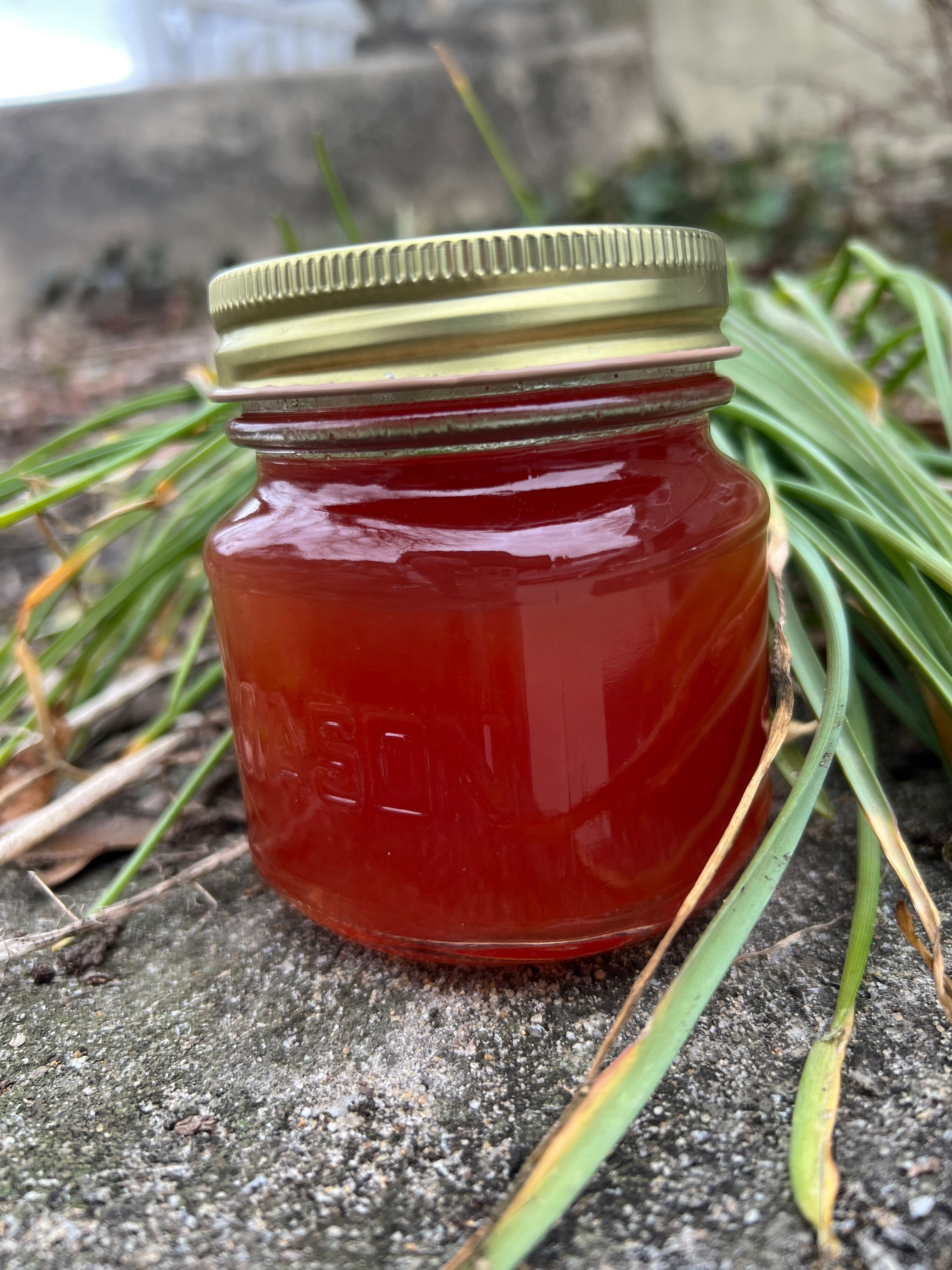 Watermelon Julep Jelly
