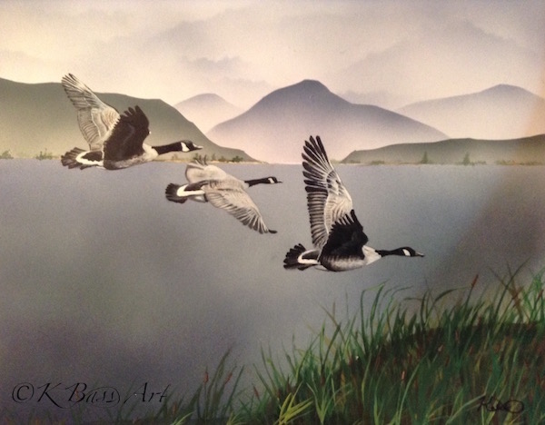 Trio of Canadian Geese