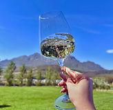 Hand mit einem Glas Weißwein von Neil Ellis vor der Berglandschaft von Stellenbosch.