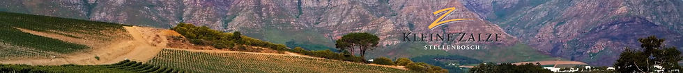 kleinezalze-streifen.jpg