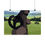 Thumbnail: Cat Pinup - Matte Horizontal Pinup Poster