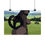 Thumbnail: Cat Pinup - Matte Horizontal Pinup Poster