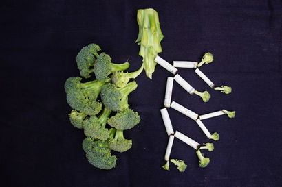 The Intriguing Link Between Food and Cancer: Insights from Leading