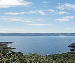 Whiddy Island.jpg